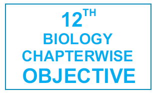 Wings Competent Academy